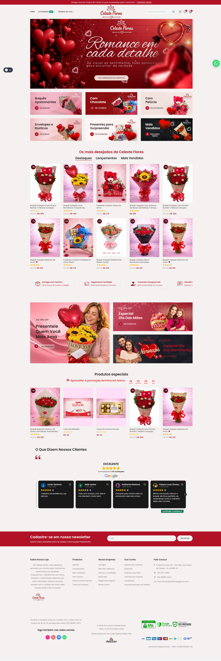Preview do site